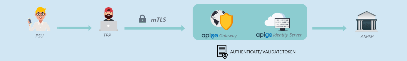 apigo gateway manages token validation